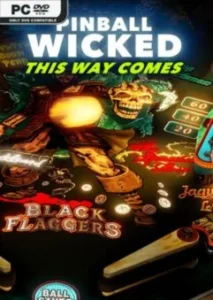 Pinball Wicked (1)